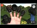Black Hulk Jogging Finger Family 3D (Reuploaded)