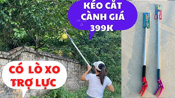 So sánh kéo cắt cành trên cao ĐÀI LOAN và kéo cắt cành TQ .có sự khác biệt rõ ràng