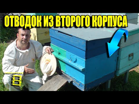 Видео: Может ли плетенка промокнуть?