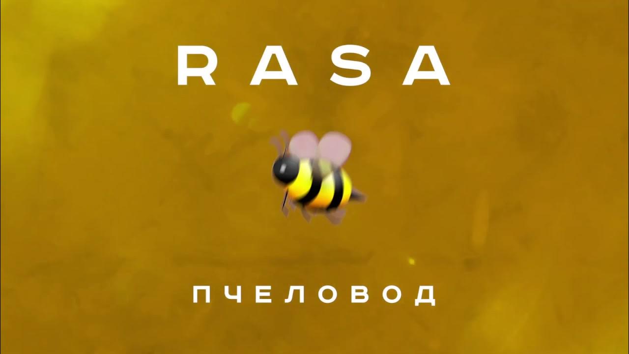 RASA - Пчеловод - YouTube