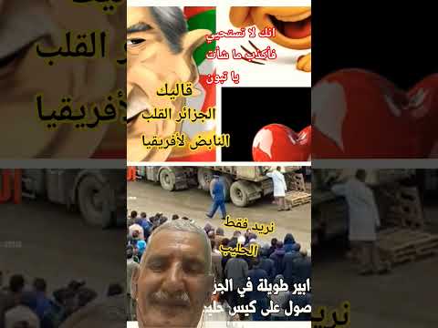 كذبون يصرح الجزاءر القلب النابض لأفريقيا اوا ها اسلوگيه اتطلقات