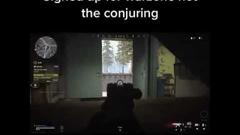 Invisible players in COD warzone