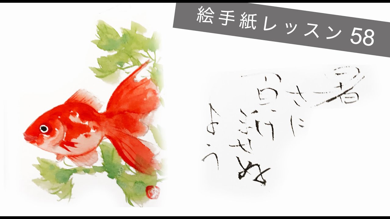 Lesson 58 金魚 Goldfish Youtube Lesson 58 金魚 Goldfish Youtube