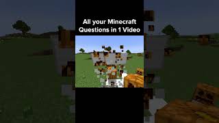 Minecraft Hack screenshot 5