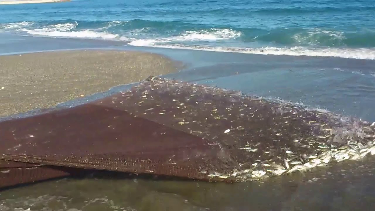 LA LINEA DE LA CONCEPCION, PESCA TRADICIONAL  ( EL COPO )