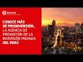 Conoce a proinversin la agencia de promocin de la inversin privada del per  proinversin