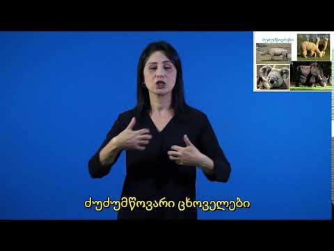 ძუძუმწოვარი ცხოველები