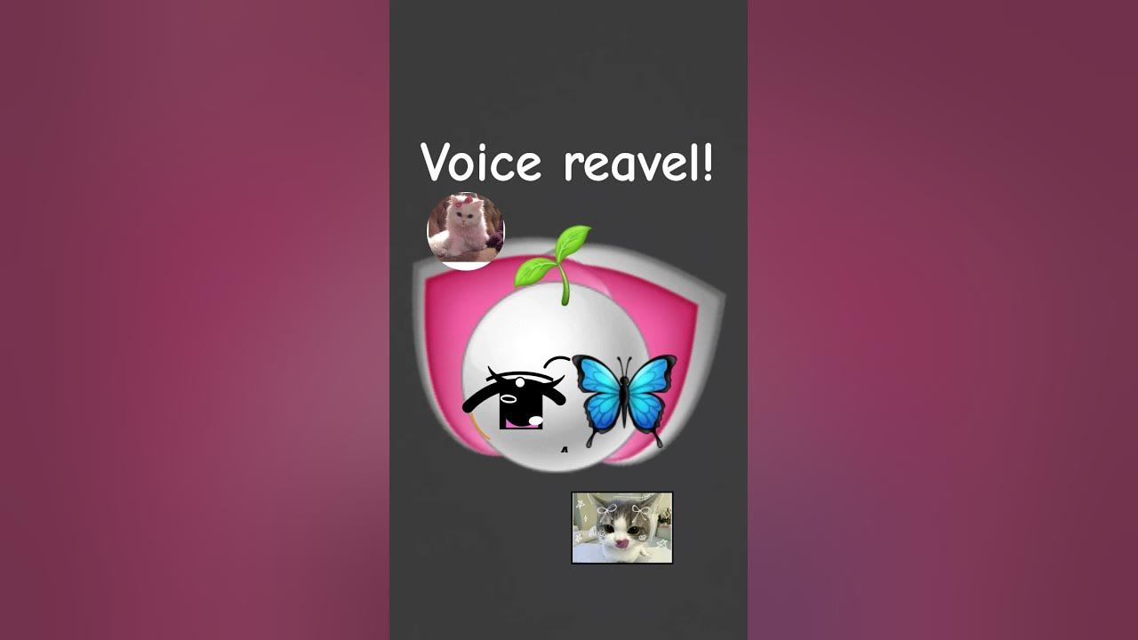 voice reavel!