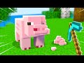 Minecraft Pig Falls Apart.. (TEARDOWN)