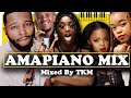Amapiano mix 2021 ep 5  mixed by dj tkm