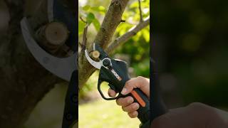 Stop Pruning by Hand! Use THIS 20V Power Lopper Stop Pruning by Hand! Use THIS 20V Power Lopper
