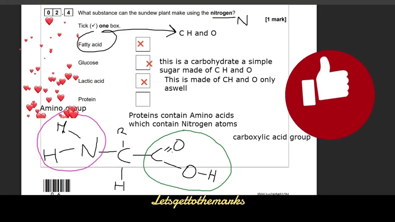 Экзамен AQA Biology GCSE 2024, часть 2.