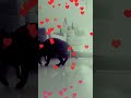 this is cute cat every animal doggy elephant #cat #poetry #love #cute #viral #video