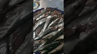 هاكيفاش تحتافظو بسمك الشطون(les anchois)