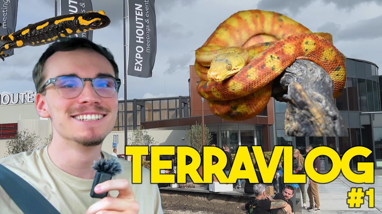 JE VOUS EMMÈNE EN BOURSE AUX REPTILES !! (Houten, Arras & voyages) - Terravlog #1