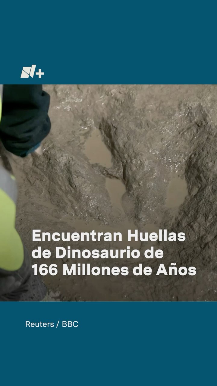 Encuentran huellas de dinosaurio de 166 millones de años - N+ #shorts