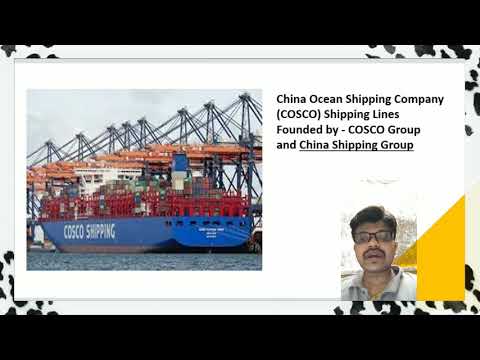 Top 10 Biggest Container Shipping Companies In The World 2021 | Best Shipping Companies In The World