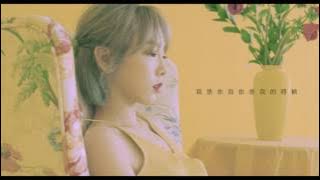 | 中字 | TAEYEON태연 _ When I Was Young