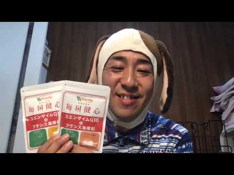 テーマ：咬む犬、吠える犬『松本秀樹の犬のことなら何でも聞いて』仕切り直し