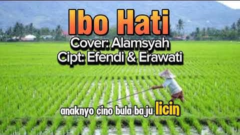 Lagu Jambi !! Ibo Hati ,, Cover Alamsyah - Cipt   Efendi & Erawati #lagudaerahjambi