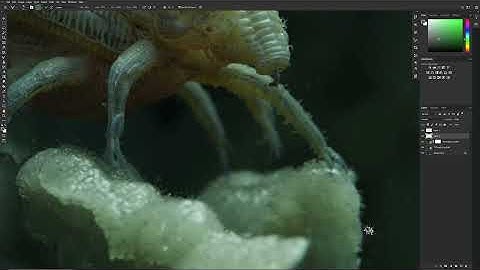 Creating Transparent Underwater 3D Creature w/ Andrea Chiampo Part 4: Final Edits