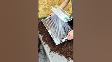 Gieo hạt giống siêu nhanh nhờ công cụ tự động thông minh