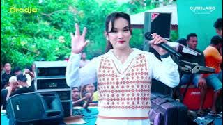 Download lagu D'RADJA - NEMEN MAYA SABRINA - BAPER TEAM PEMUDA TULAKAN DROJO DONOROJO JEPARA