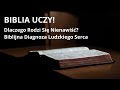 Nienawiść: Najgroźniejszy Owoc Samolubstwa – Biblia ostrzega