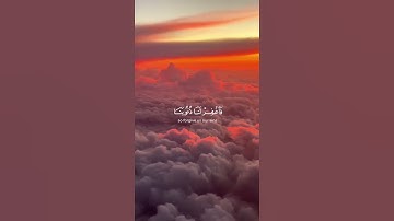ما تيسر من سورة آل عمران | القرآن الكريم | القارئ ماهر المعيقلي