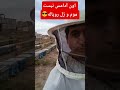 اون آدامس نیست توی دهنم موم و ژل رویاله Honey Health Village Nature Explore Dailyvlog