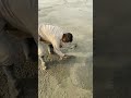 6 Inch Lantern Concrete Work | Labor Construction Work | Roof Lantern Slab Casting