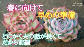 【夫婦多肉】こんな時期に鉢増し！昔植えてた土は何だろな？