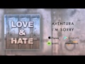 Aventura - I&#39;m Sorry