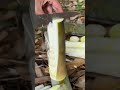 Traditional Process Of Peeling And Slicing Fresh Bamboo Shoots Using Sharp Knife