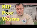 Disastrous end to my worm bin - vermicomposting