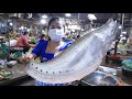 Market show, This fish we use to make fish meatball / Fish meatball with Taiwan bok choy soup recipe