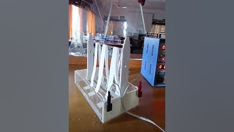 Paper Electrophoresis System (Make: Biotech Yercaud)