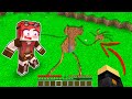 COSA C'È DENTRO IL BUCO PAUROSO DI CARTOON CAT? - MINECRAFT