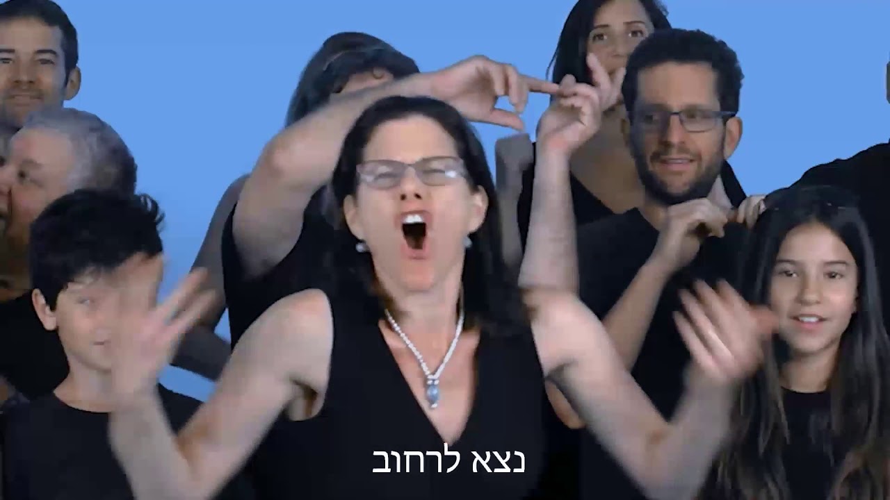 עמית אורגד- מזל טוי