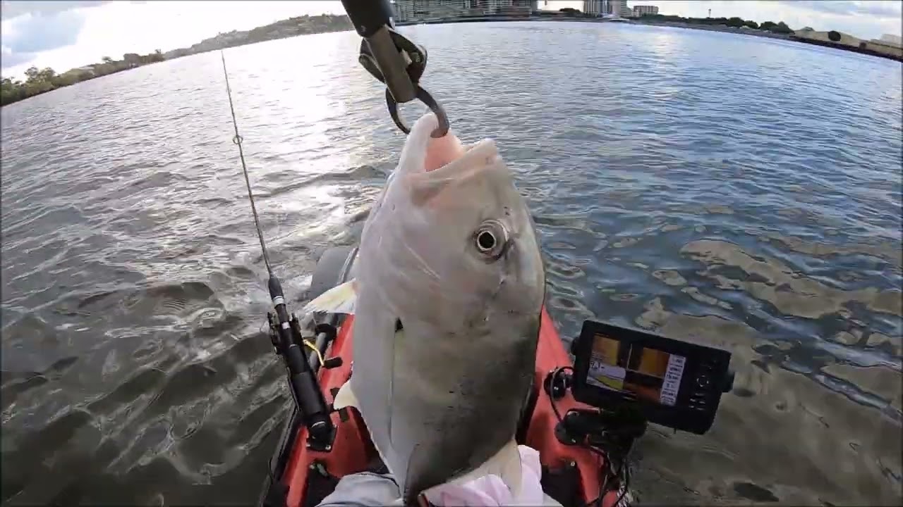 Winter Afternoon Brisbane River Trevally