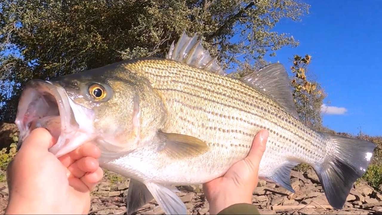 Poke Boat Fishing Kentucky River pt.4 – TROPHY FISH!
