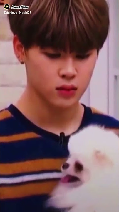anjing nya lucu banget.. jd pengen d pangku jg sama yg gendong 🤪 #parkjimin #gemes #cute #jungkook
