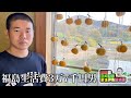 脱がせるのが得意と言って干し柿をつくる福島生活費3万7千円男【岡田のふくしまデュアルライフ】