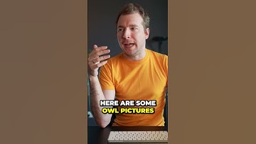 Midjourney, the AI image generator app that