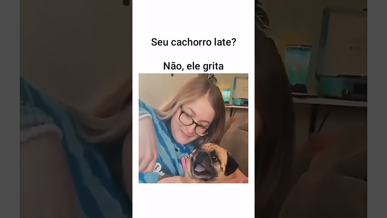seu cachorro late não não ele grita - YouTube