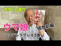 【ウマ娘】シンデレラグレイ3巻感想【前編】