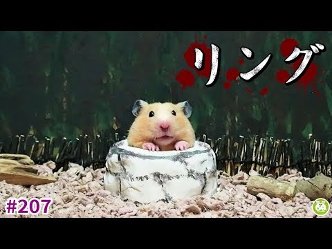ぬーさま専用 ぬーさまLIFE!!ch - YouTube
