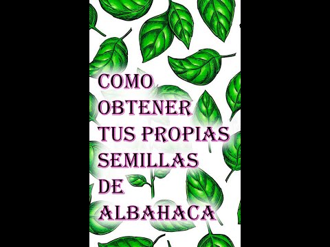 COMO OBTENER TUS