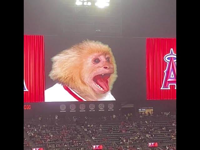 Wizard of Oz Angels Rally Monkey Clip 