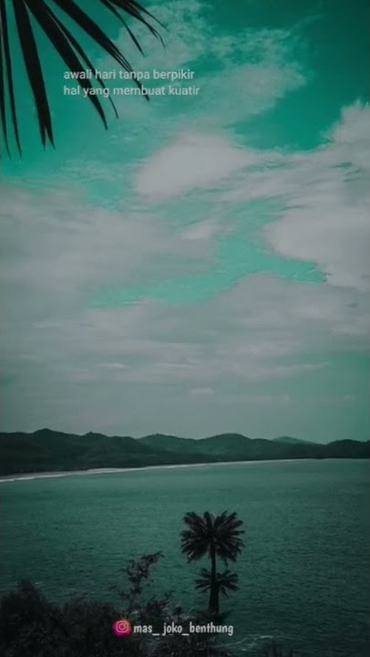 Video story 30 detik viral tik tok lagu TANPA ALASAN dangdut koplo. Video mentahan story terbaru